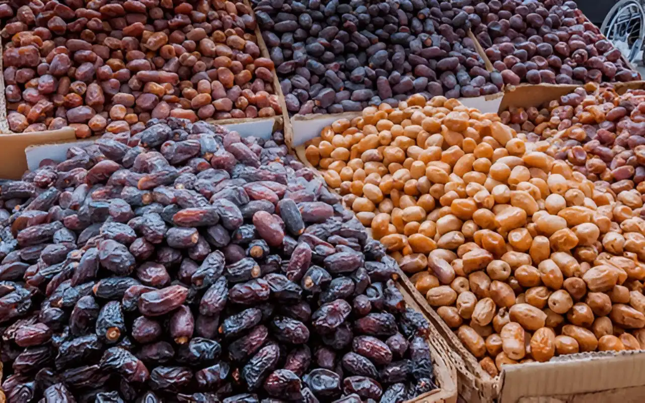 Abu Dhabi City Tour By Sharing Bus