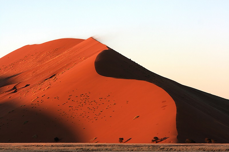Morning Red Dune Desert Safari