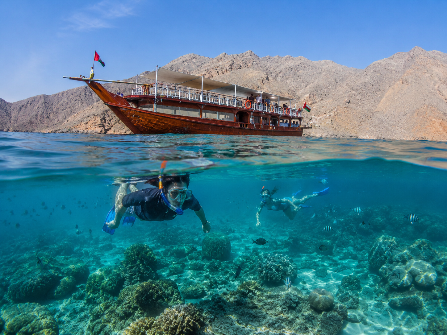 Snorkel Musandam's pristine coral reefs on a Dibba dhow cruise, Oman